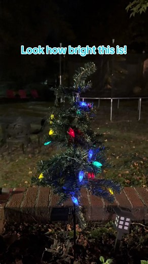 I am so pleased with these 3 ft tall solar powered Christmas trees! This comes as a set of four and I’m so glad that I ordered two sets. The light strand and limbs are adjustable. Each tree is individual and has its own solar power, so these can be used together or completely separately. #christmas #tree #tiktokshop #brightlights #solarpowered