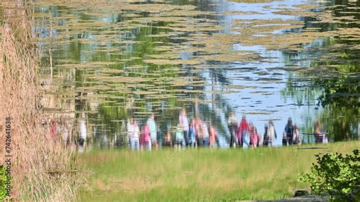 Reflection in water. Old overgrown city pond in park. Pedestrians are reflected in water.