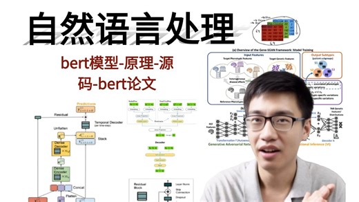 【唐博士带你学AI】NLP最著名的语言模型-BERT 10小时精讲，原理 源码 论文，计算机博士带你打通NLP