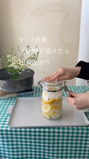 レモンジンジャーシロップの作り方#ハーブティー講師 #ハーブティーのある暮らし #ハーブティー #レモンジンジャー