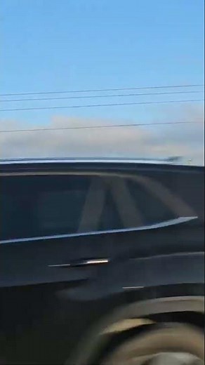 Seagulls (Stop it Now) #short