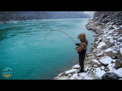 Fishing for the BIGGEST Trout We've Ever Seen! - New York Fly Fishing (Lakers Pt 2)