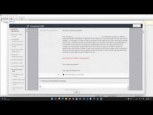 CSPro Case View demo
