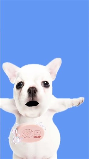 Alien tomato wash my belly skeleton 67 67