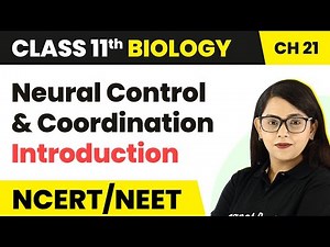 Neural Control and Coordination - Introduction | Class 11th Biology