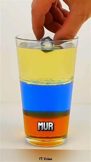 Why Won't These Liquids Mix? 🤔 #funfacts #density