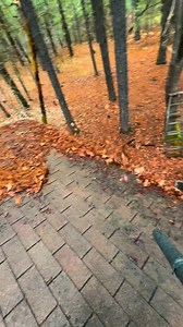 #roofcleaning #satisfying #leafblower | Diamond Exterior Cleaning LLC