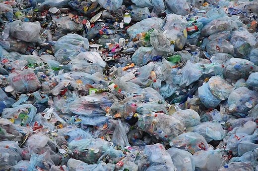 15 Serious Effects of Plastic Bags Causing Environmental Pollution | Earth Eclipse