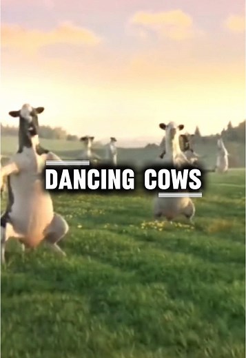 Dancing Cows: Perfect Timing for Fun!