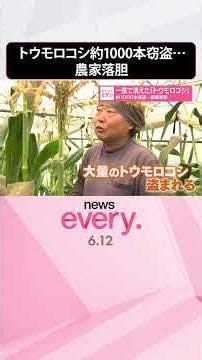 【農家落胆】一夜で消えた「トウモロコシ」約1000本窃盗 栃木・宇都宮市 #shorts