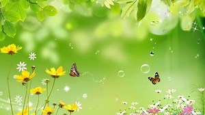 revit2016建筑设计视频教程-综合实例-标清