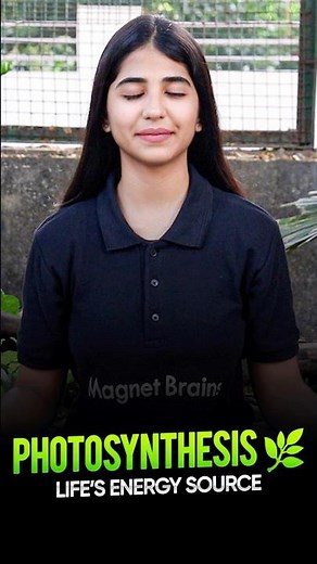 🌿Plants, Animals, and the Balance of Ecosystems #ecosystembalance #plantsandanimals