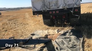 1.6K views · 88 reactions | Day 71 - Harvest 2019 Jordan, MT Most of the day, I was on the edge of my seat. Jim was nervous that I’d find a saline seep and fall into it. Never even had a minor issue. (I think he worries too much!) #HarvestHERhighlights #macdoncustomharvest #harvest19 #Montana #AAWH19 #wheat #thestruggleisreal #harvesther #nacustomharvesters | Zeorian Harvesting & Trucking | Facebook