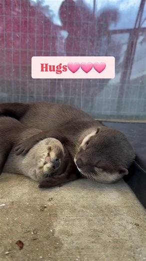 Elizabeth Turner on Instagram: "Everyone needs hugs xxx"