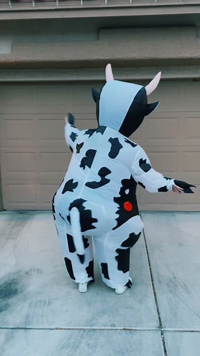 Creative Inflatable Cow Halloween Costume Ideas