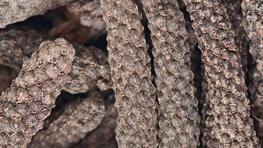 Pippali Or Indian Long Pepper: Here's How It Helps To Cure Dry Cough