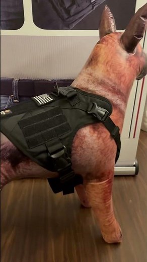 Keep your K9 SAFE when hiking, camping or walking trails: Tactical Dog Harness