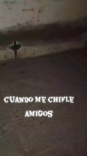 26 reactions | Jesús Ramirez on Reels | Facebook