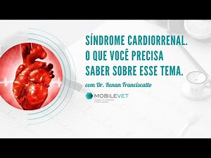 Síndrome Cardiorrenal. O que você precisa saber sobre esse tema.