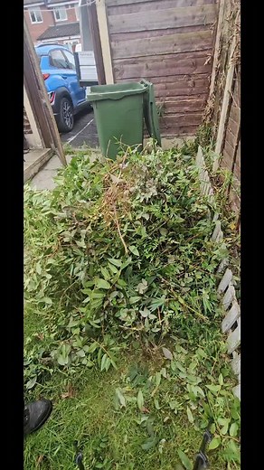 This time i use echo trimmer to make the waste smaller, I won't be taking any home with me #gardening #garden #gardenhedge #gardeninspiration #stihl #gardenideas #echotools #wastedisposal | BAA.Garden.services