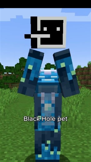 Minecraft can get lonely