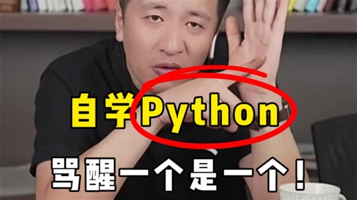 假如你从12月开始自学Python编程技术，骂醒一个是一个！！