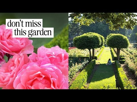 The 1900’s Parisian-inspired Rose Garden Hiding in Portland, Oregon (Peninsula Park)