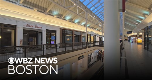 New owners of Solomon Pond Mall have options for redevelopment