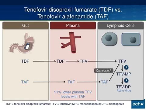 Tenofovir Alafenamide (TAF)