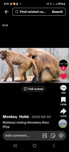 xxxx seeex africaan (@miukkkkxxxx)’s videos with original sound - xxxx seeex africaan