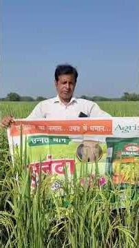Agrisis Sunanada Paddy Farmer Exprience Video