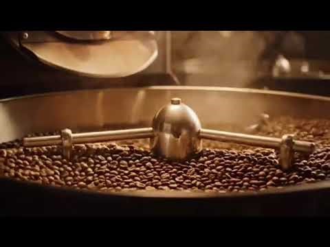 Coffee Beans to Instant Coffee – Inside the Factory #factory #production