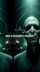 What is Voldemort Patronus?🤯🤯 #fy #fyp #fyp #fypviralシ #foryoupage #explorepage #scene #unravel #conspiracy #Rating #fanfiction #fantasy #strong #OMG #explore #magic #usa #interesting #secret #mystery #highlights #booklovers #underrated #HarryPotter #harrypotterworld #voldemort #facts #Headcanon #slytherin #mom | Unraveling Mysteries