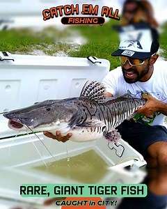 I've Never Seen a Fish This Huge! | Zak Catch Em