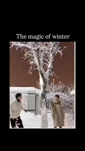 Infletra on Instagram: "The Instagram reel showcases a 65-second video compilation of winter's enchanting moments, including playful snowball fights, a child uncovering buried treasures in snow, animal frolics, and dramatic roof avalanches, captioned simply "The magic of winter" to evoke awe. Posted on 11 December 2025, it rapidly amassed 265,000 views, 1,700 likes, and diverse replies—from exclamations of wonder to queries about visual authenticity—reflecting its timely appeal amid seasonal shi