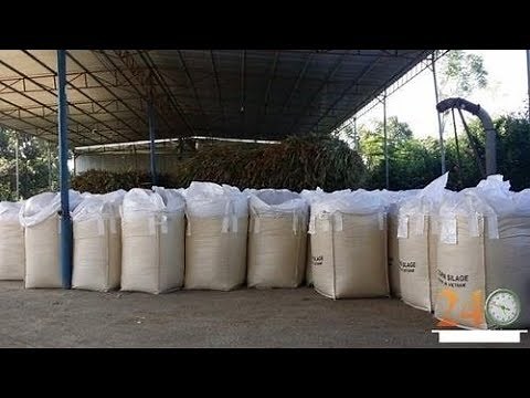 Filling and packing of silage in Jumbo bag