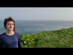 BANANGOA - Tutoriala