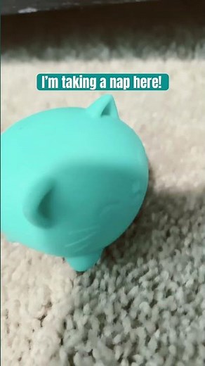 “I wanna take a nap! I’m taking a nap here! Oghhh good night…” trend except with squishy toys