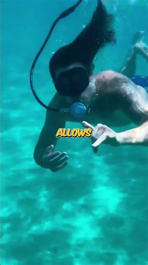 Is This the End of Scuba Tanks?