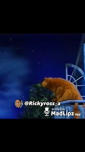 "Good weed - A moon with a face" Ghetto Bear in the Big Blue House VoiceOver Parody | Follow Me On Instagram: @Rickyross_a and @Rickyross_a2 #ghetto #cartoon #voiceover #madlipz #dub #hood #hoodcartoons #classic #like #comment #share #follow #worldstar #worldstarhiphop #explore #explorepage #viral #famous #watchthisvideo #cool #millionviews #weed #weedmemes #voiceacting #bear | Ricky Mcgruder