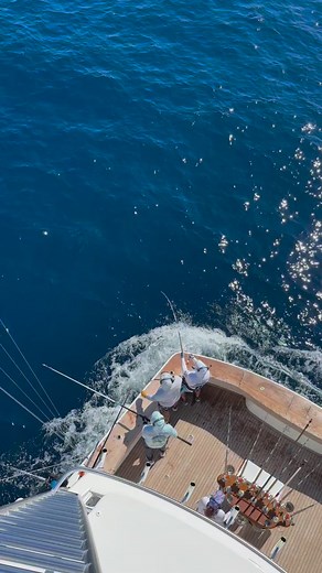 Tag and Release striped marlin!!!! | Fly Navarro