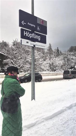 Train ride through snowy Germany ❄️🚆 Like heaven on earth! #TravelShorts #Snow 🇩🇪