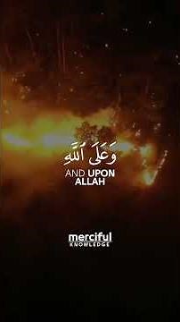 SURAH AT-TAWBAH VERSE 51 | MISHARY RASHID ALAFASY