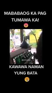 Random Photos on Reels