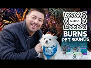 RELAX MY DOG Anxiety Music for Fireworks, Bonfire Night! In Collaboration with Burns & Duncan James!