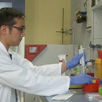 Video: A Method for Determination and Simulation of Permeability and Diffusion in a 3D Tissue Model in a Membrane Insert System for Multi-well Plates