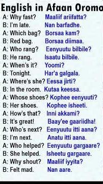 #English #oromo_tik_tok #education #marakienglish #BEL ACADEMY #hirkoo Teacher Nigus Stars English