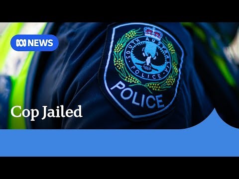 Former SA Police detective Matthew Thomson jailed for assaulting ex-wife | ABC News