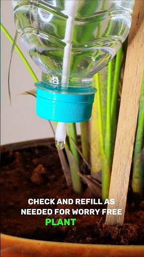Eco-friendly Plant Watering Hack #shorts #lifehacks #plants