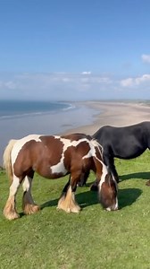 Have you ever been to the Gower? Take a stroll along the Gower coastal pathway. Watch the sunset and sunrise, lose yourself under the night stars. Relax There are 4 cabins available, each beautifully decorated. They also do 1 night stays! 🔗 Link in Bio ⬆️ search for Cabins 🌿 Brandy Cove 🌿 Langland Bay Lookout 🌿 Caswell Bay Hideout 🌿 Rhossili Bay Secret #gower #coast #gowercoastalpath #wales #beach #hottubholiday #luxury #hottub #sunset #sunrise #onenightstay #horses #wildhorses #cosystay #c